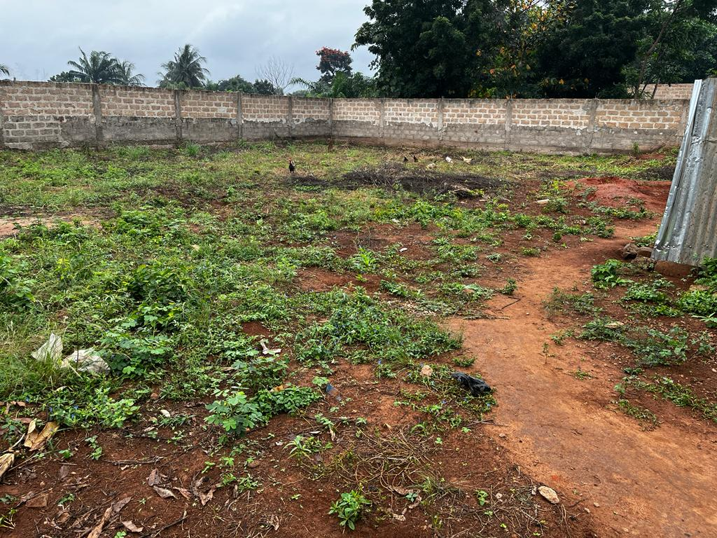 Vente de parcelles - Conakry